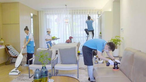 互联网技术驱动下的家庭保洁与未列明居民服务业发展